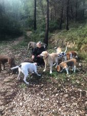 chenils pour chiens en pension dans marseille BALADOG