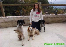 chenils pour chiens en pension dans marseille Pension de l'ARCHE