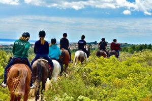 cours d equitation marseille Les Ecuries de Palama