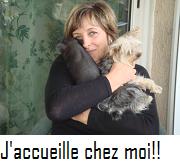 gardien de chien marseille Villa Jayne ~ Pension Chats