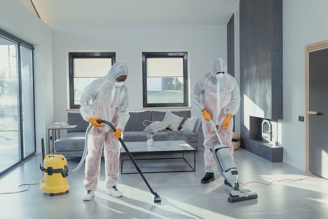 entreprises de fumigation cafards marseille Éradication Nuisibles Sociétés agréé contre les Nuisibles