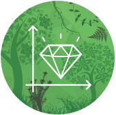 specialistes du developpement d applications mobiles marseille Natural Solutions, la technologie au service de la biodiversité