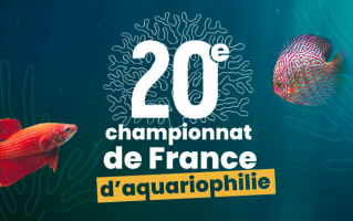 Championnat de France d'aquariophilie