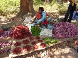 Woman selling chillies in Orissa (India)