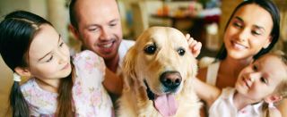 dresseurs de chiens a marseille Centre de Comportementalisme Canin