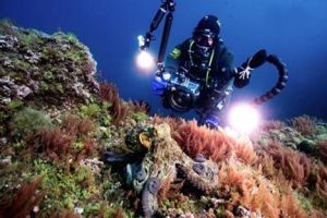 cours pour debutants en plongee sous marine marseille L'ATELIER DE LA MER - Centre de plongée - Ecole de plongée