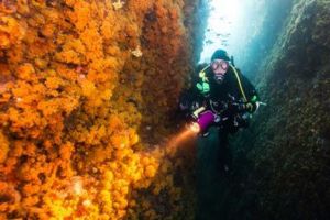 cours pour debutants en plongee sous marine marseille L'ATELIER DE LA MER - Centre de plongée - Ecole de plongée