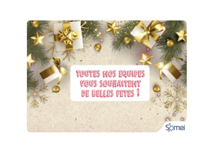 specialistes du developpement de logiciels marseille SOMEI SA