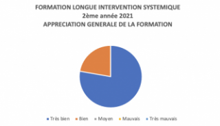 Formation longue - Thérapie familiale 1ère année