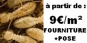 termites marseille AFPAH - Traitement de charpente, termite, capricorne, mérule, démoussage, humidité