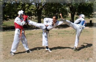 cours d hapkido marseille Taekwondo Hapkido club de Marseille