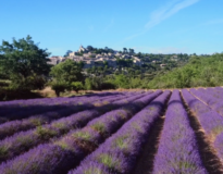 specialistes de la production de videos musicales marseille Production Video - Fanny Productions